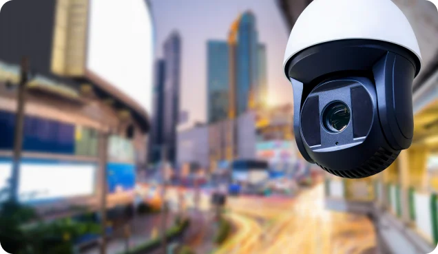 Security System Services